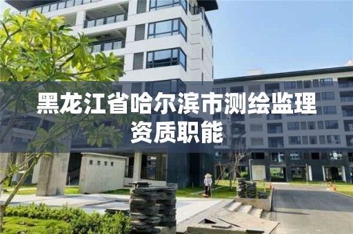 黑龙江省哈尔滨市测绘监理资质职能