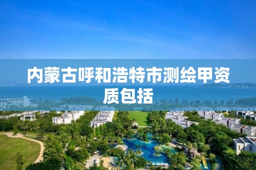 内蒙古呼和浩特市测绘甲资质包括