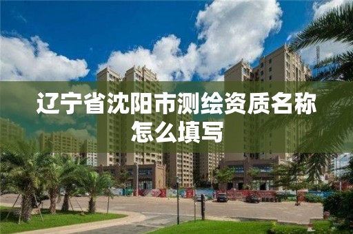 辽宁省沈阳市测绘资质名称怎么填写