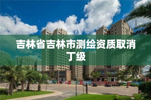 吉林省吉林市测绘资质取消丁级