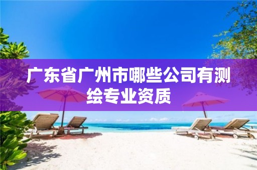 广东省广州市哪些公司有测绘专业资质