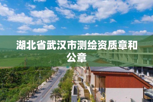 湖北省武汉市测绘资质章和公章