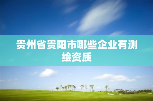 贵州省贵阳市哪些企业有测绘资质