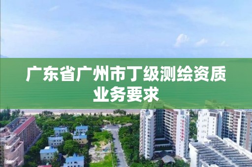 广东省广州市丁级测绘资质业务要求