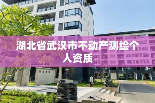 湖北省武汉市不动产测绘个人资质