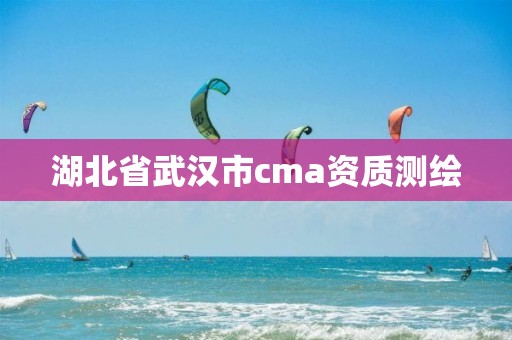 湖北省武汉市cma资质测绘