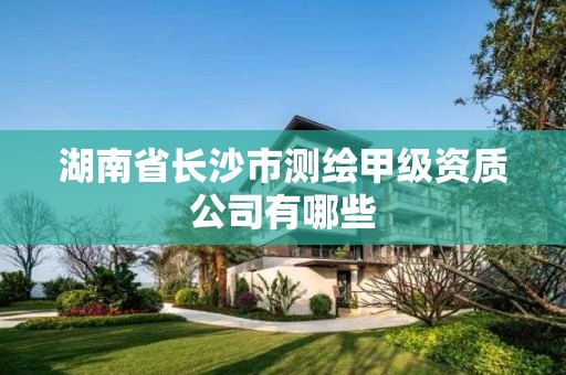 湖南省长沙市测绘甲级资质公司有哪些