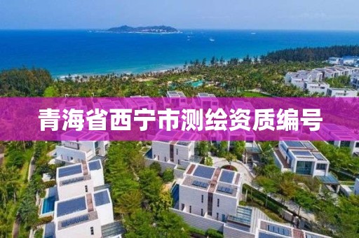 青海省西宁市测绘资质编号