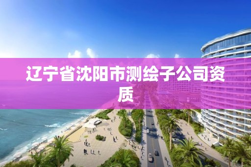 辽宁省沈阳市测绘子公司资质