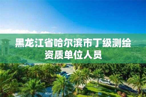 黑龙江省哈尔滨市丁级测绘资质单位人员