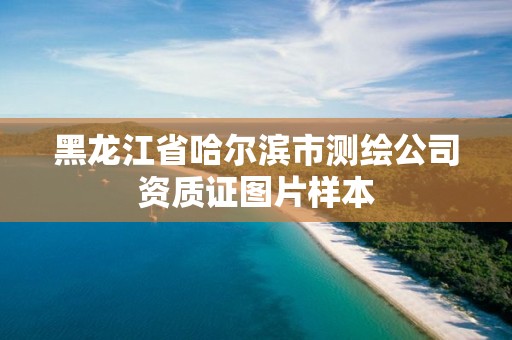 黑龙江省哈尔滨市测绘公司资质证图片样本