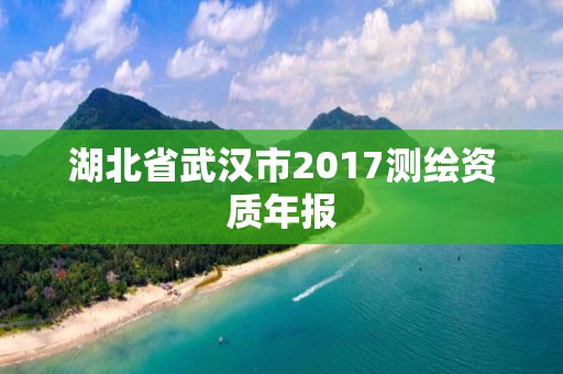 湖北省武汉市2017测绘资质年报