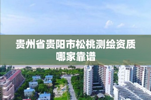 贵州省贵阳市松桃测绘资质哪家靠谱