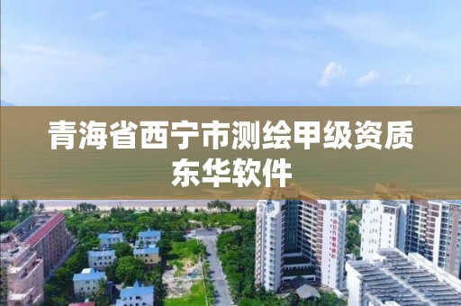 青海省西宁市测绘甲级资质东华软件