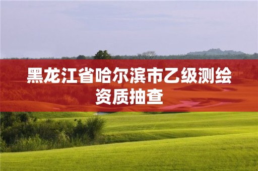 黑龙江省哈尔滨市乙级测绘资质抽查