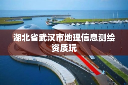 湖北省武汉市地理信息测绘资质玩