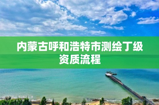 内蒙古呼和浩特市测绘丁级资质流程