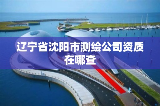 辽宁省沈阳市测绘公司资质在哪查