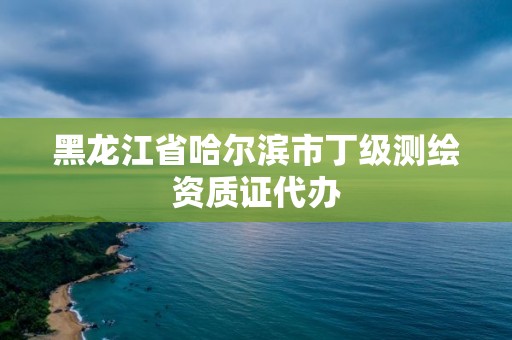 黑龙江省哈尔滨市丁级测绘资质证代办