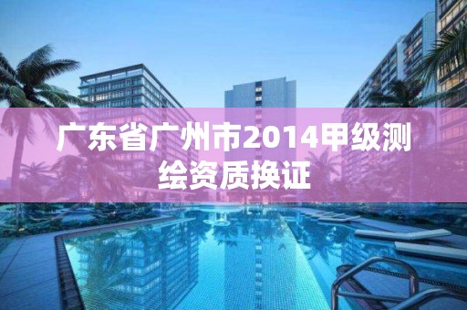 广东省广州市2014甲级测绘资质换证