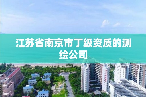 江苏省南京市丁级资质的测绘公司