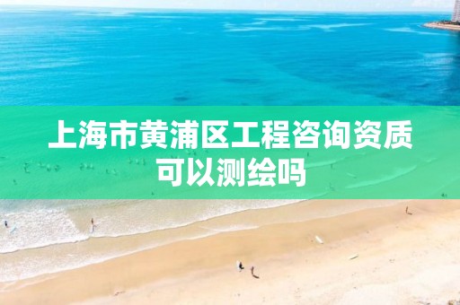 上海市黄浦区工程咨询资质可以测绘吗