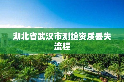 湖北省武汉市测绘资质丢失流程