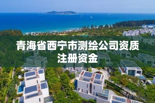 青海省西宁市测绘公司资质注册资金