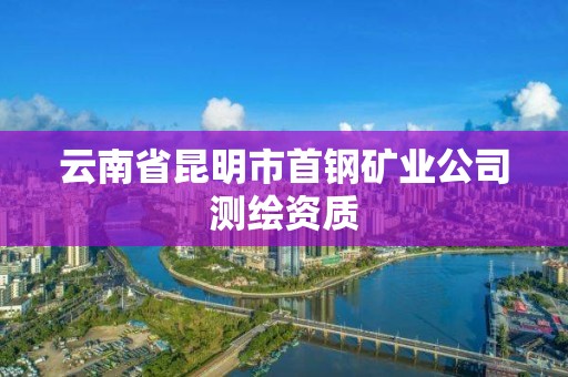 云南省昆明市首钢矿业公司测绘资质