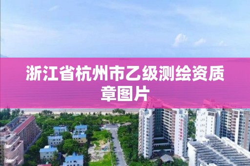 浙江省杭州市乙级测绘资质章图片