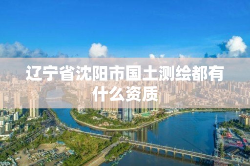 辽宁省沈阳市国土测绘都有什么资质