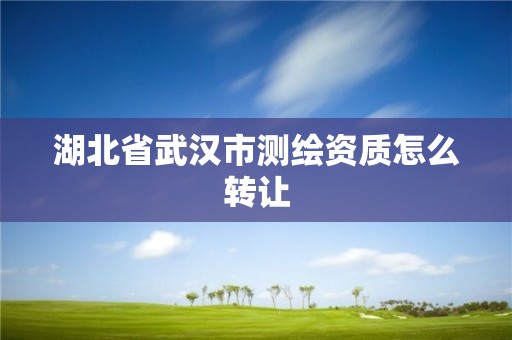 湖北省武汉市测绘资质怎么转让