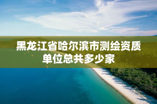 黑龙江省哈尔滨市测绘资质单位总共多少家