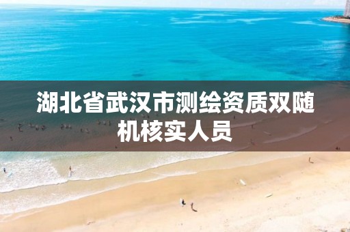 湖北省武汉市测绘资质双随机核实人员