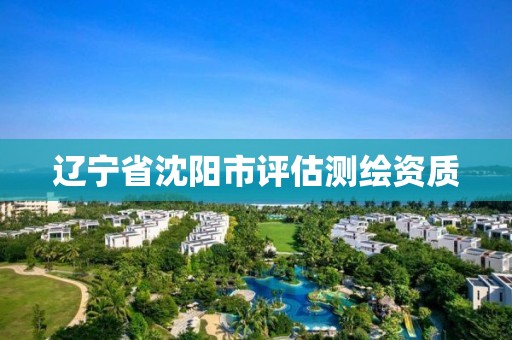 辽宁省沈阳市评估测绘资质