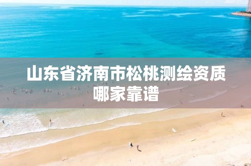 山东省济南市松桃测绘资质哪家靠谱