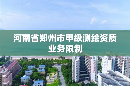 河南省郑州市甲级测绘资质业务限制