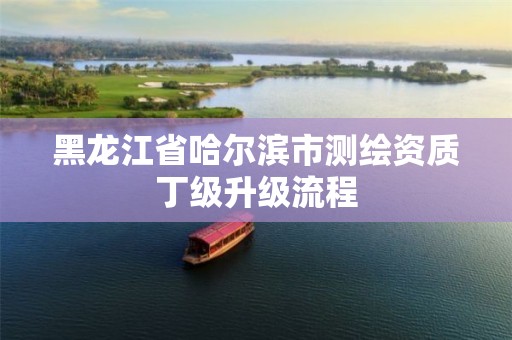 黑龙江省哈尔滨市测绘资质丁级升级流程