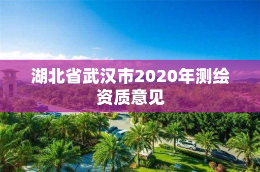 湖北省武汉市2020年测绘资质意见