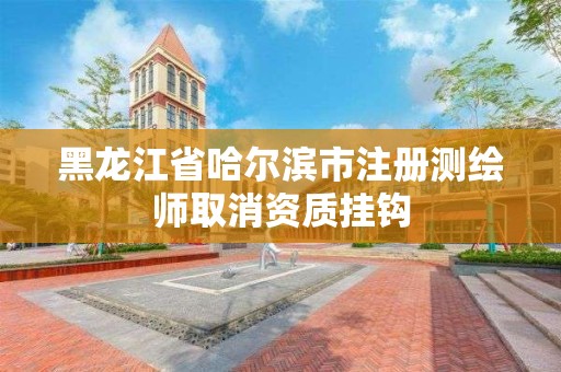 黑龙江省哈尔滨市注册测绘师取消资质挂钩