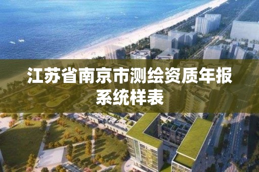 江苏省南京市测绘资质年报系统样表