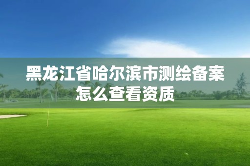 黑龙江省哈尔滨市测绘备案怎么查看资质