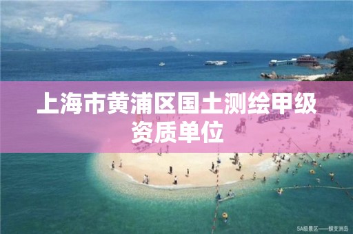 上海市黄浦区国土测绘甲级资质单位