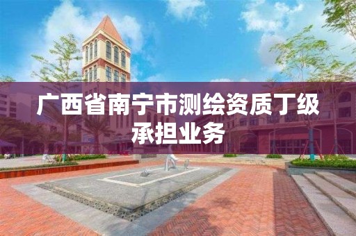 广西省南宁市测绘资质丁级承担业务