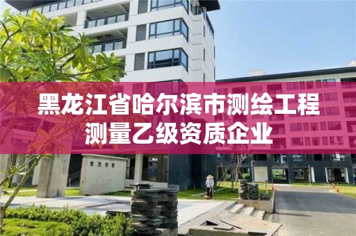 黑龙江省哈尔滨市测绘工程测量乙级资质企业