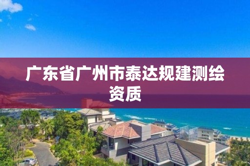 广东省广州市泰达规建测绘资质