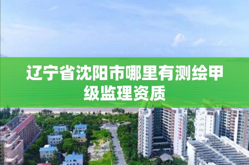 辽宁省沈阳市哪里有测绘甲级监理资质