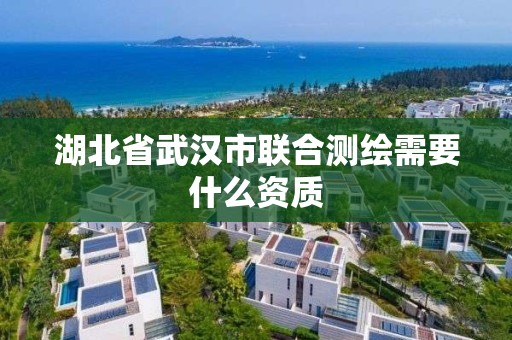 湖北省武汉市联合测绘需要什么资质