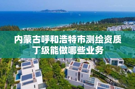 内蒙古呼和浩特市测绘资质丁级能做哪些业务