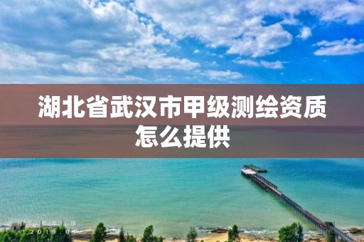 湖北省武汉市甲级测绘资质怎么提供